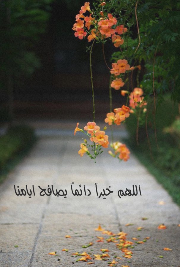 اللهم خيرا في كل اختيار