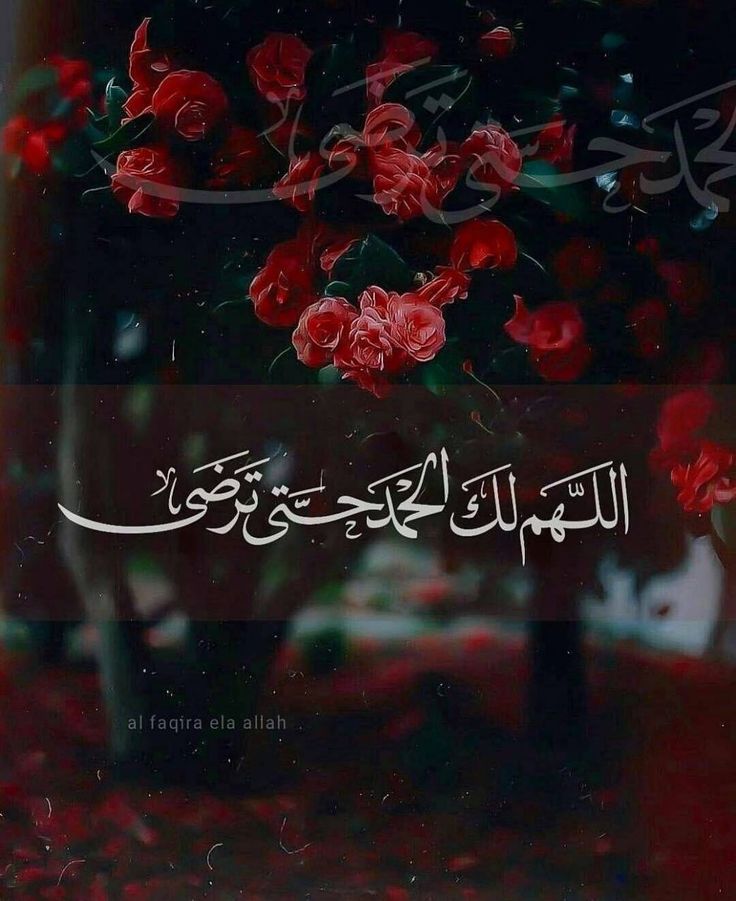 اللهم لك الحمد