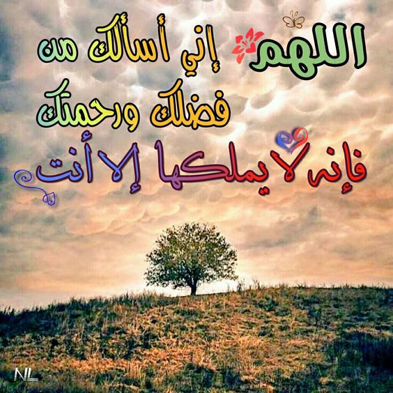 اللهم نسالك من فضلك ورحمتك فانه لايملكها الا انت