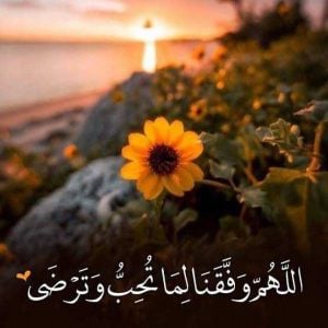 اللهم وفقنا لما تحبه وترضاه