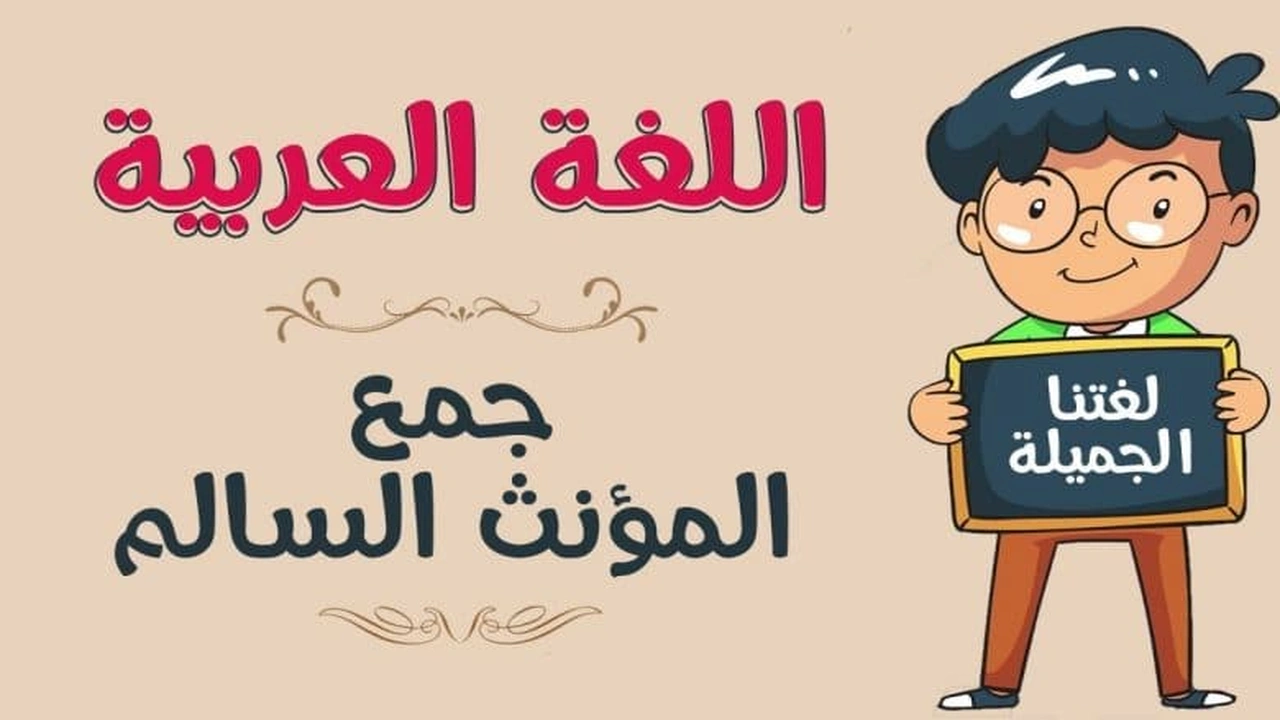 صورة امثلة على جمع المؤنث السالم