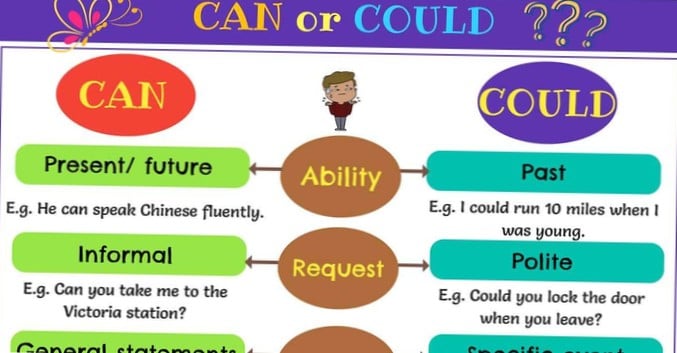امثلة على قاعدة can could