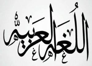 امثلة عن الاستثناء