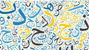 امثلة عن الجملة الخبرية