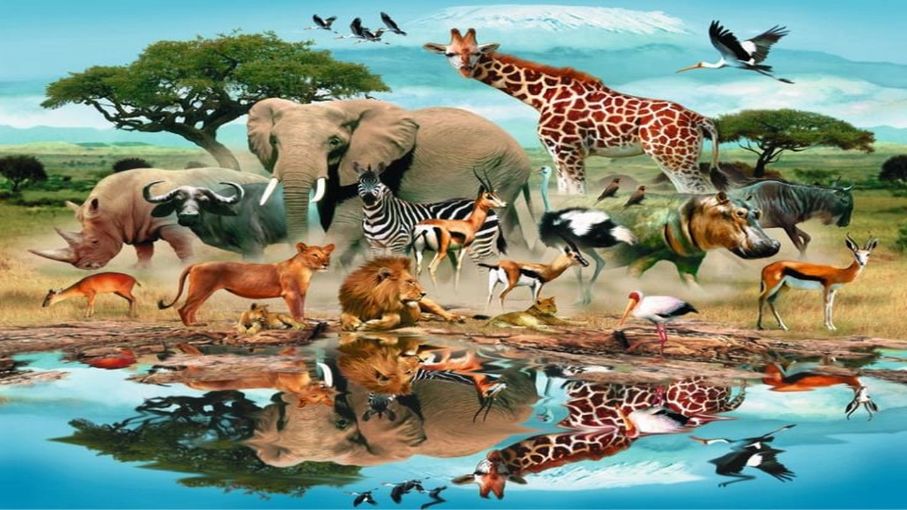 صورة امثلة عن الحيوانات البرية