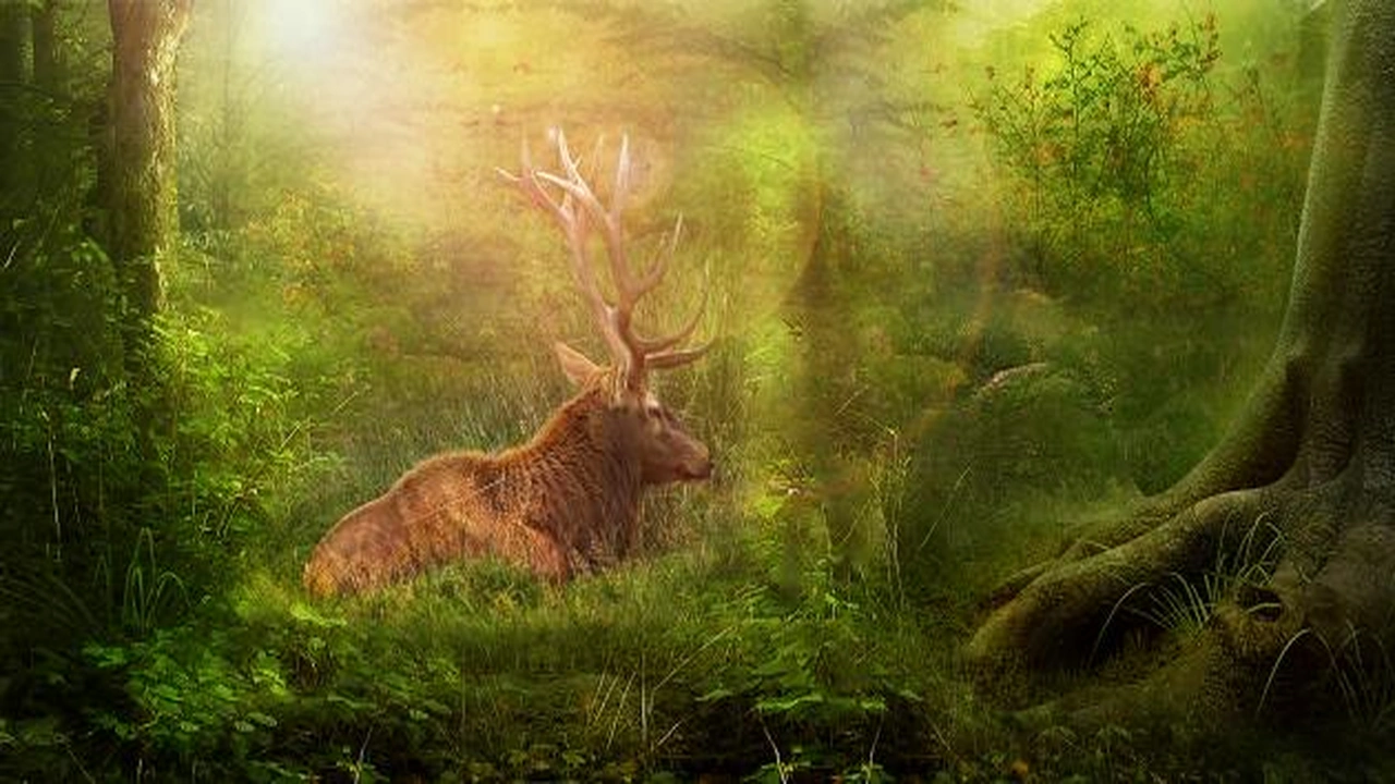 صورة امثلة عن الحيوانات الفقارية