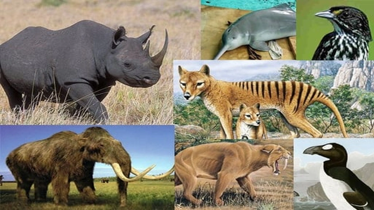 صورة امثلة عن الحيوانات المنقرضة