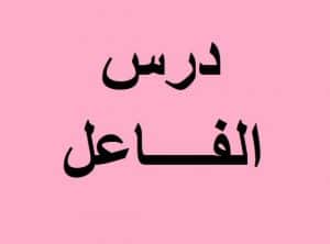 امثلة عن الفاعل ضمير مستتر
