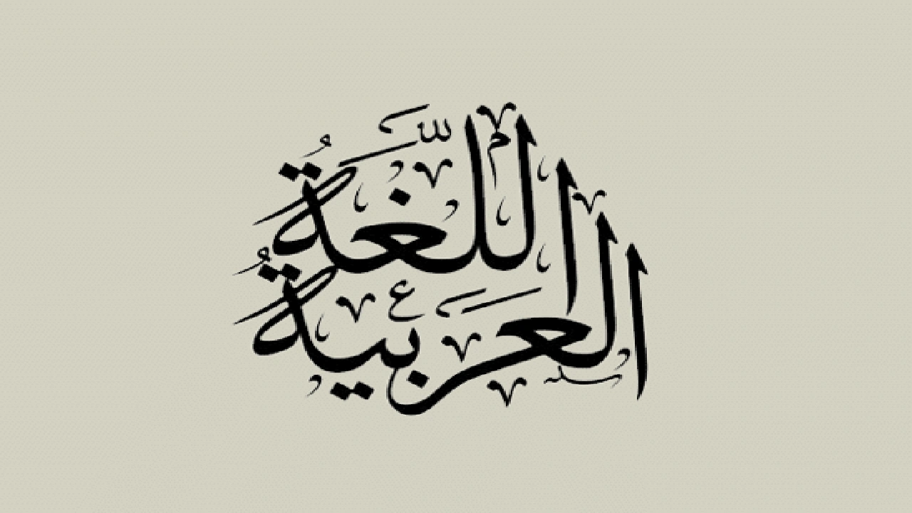 صورة امثلة عن الفعل الامر