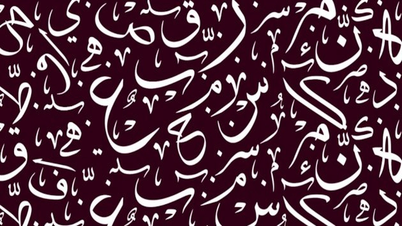 صورة امثلة عن فعل مضارع مبني على السكون