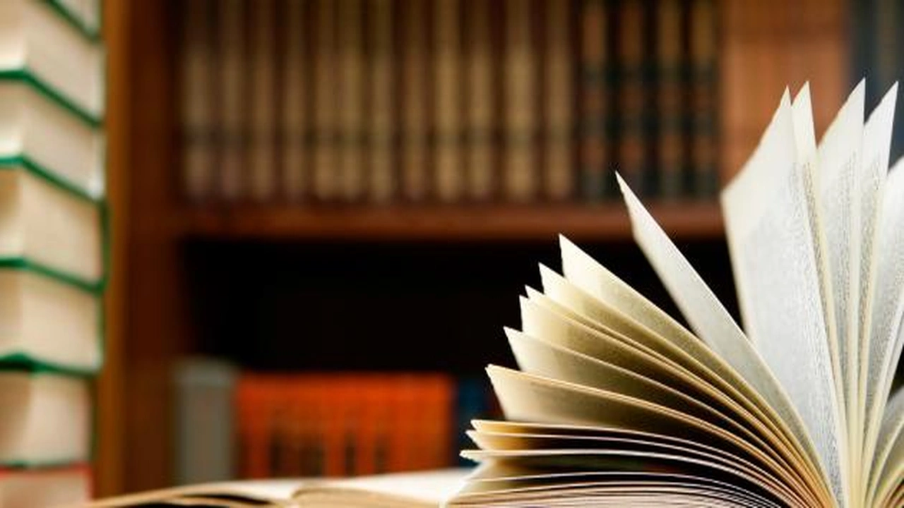 صورة امثلة عن فعل مضارع