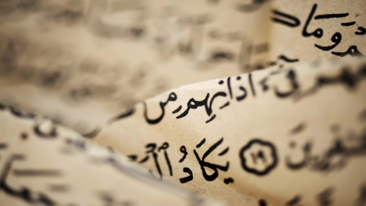 صورة امثلة عن مد العوض