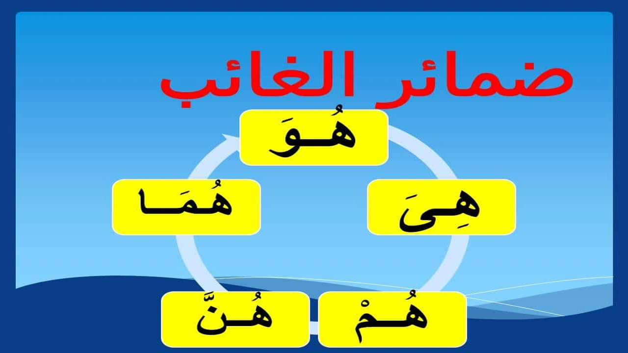 صورة امثله عن ضمائر الغائب