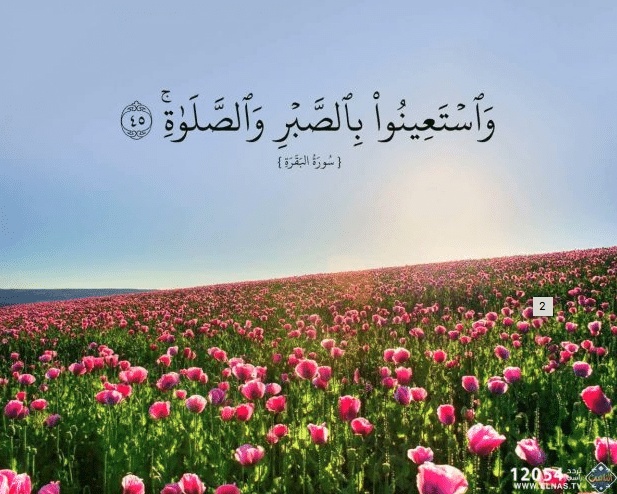 ايات قرانية عن الصبر