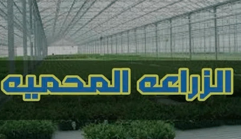 ايجابيات وسلبيات الزراعة المحمية