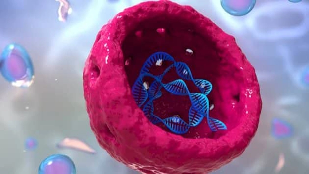 صورة بحث جامعي عن الخلية