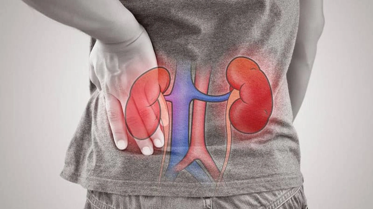 صورة بحث جامعي عن الفشل الكلوي