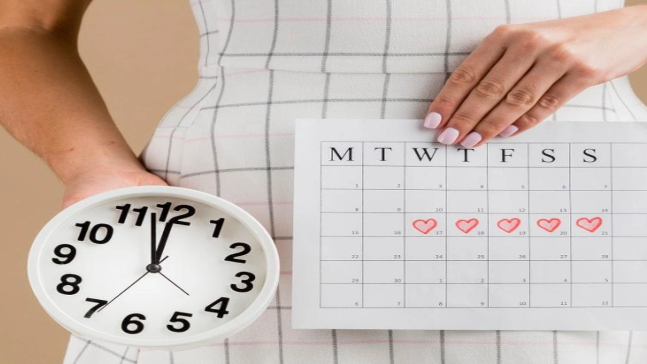 صورة برنامج حساب أيام التبويض