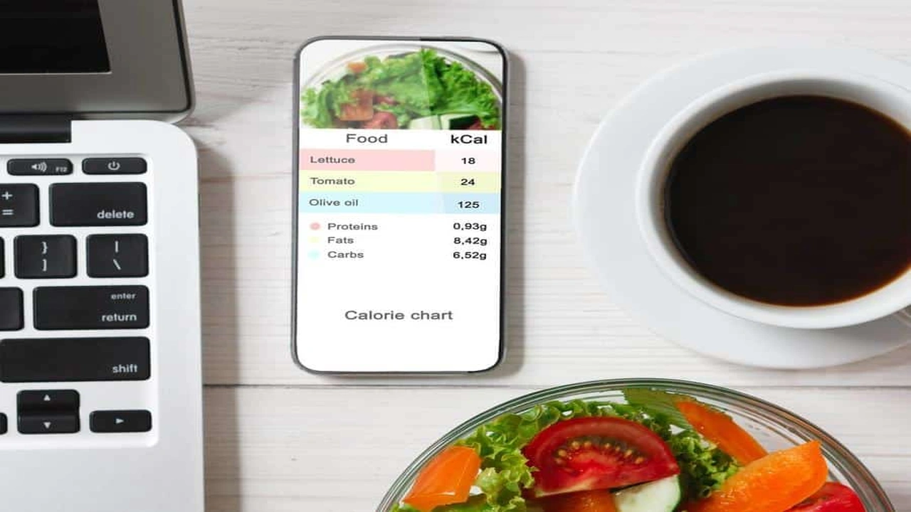 صورة برنامج حساب السعرات الحرارية في وجباتك اليومية