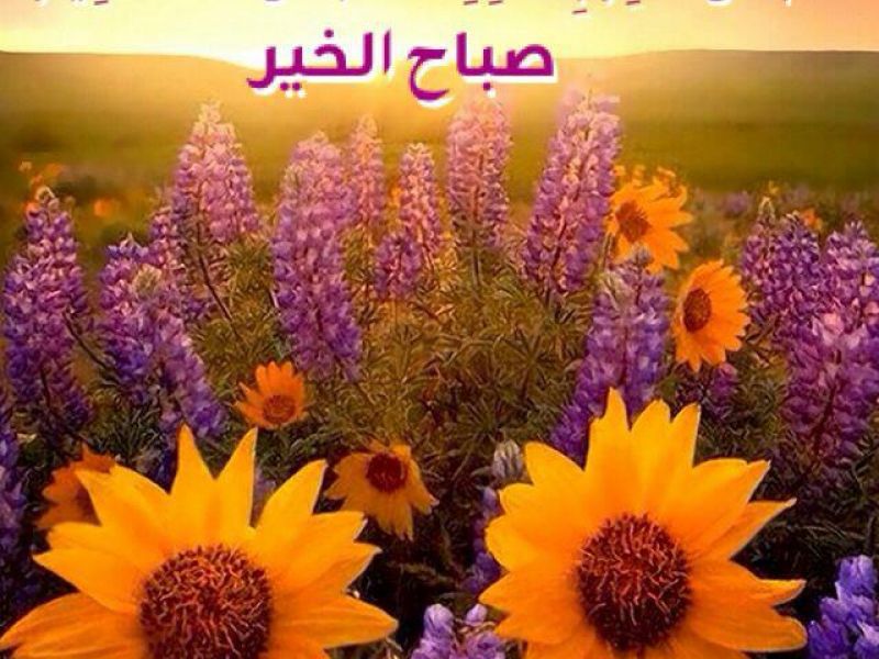 بوست صباح الخير