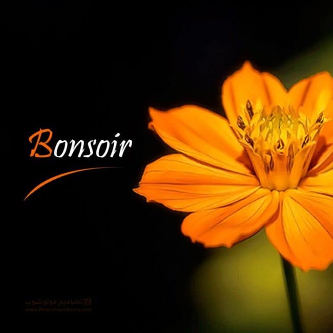 بوستات صباح الخير باللغة الفرنسية