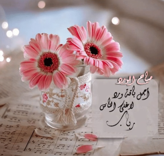 بوستات مكتوب عليها اسم رباب