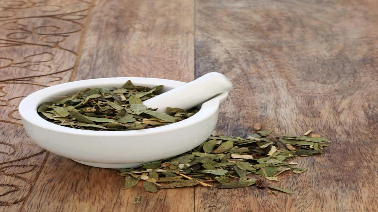 صورة تجاربكم مع السنامكي