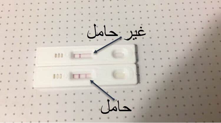 تجاربكم مع خط الحمل الخفيف