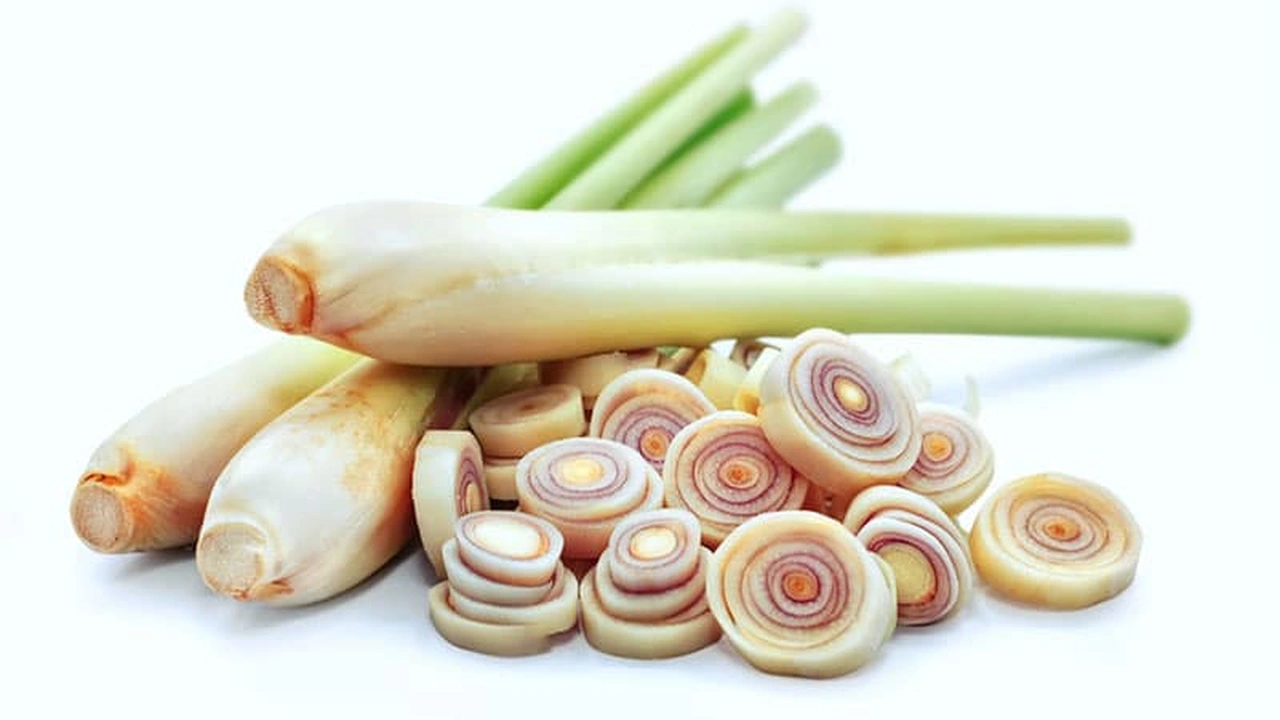 صورة تجاربكم مع عشبة الاذخر