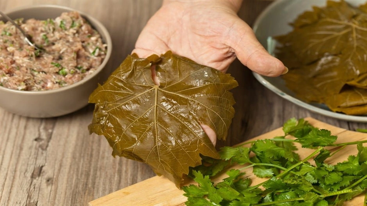 صورة تجاربكم مع ورق العنب
