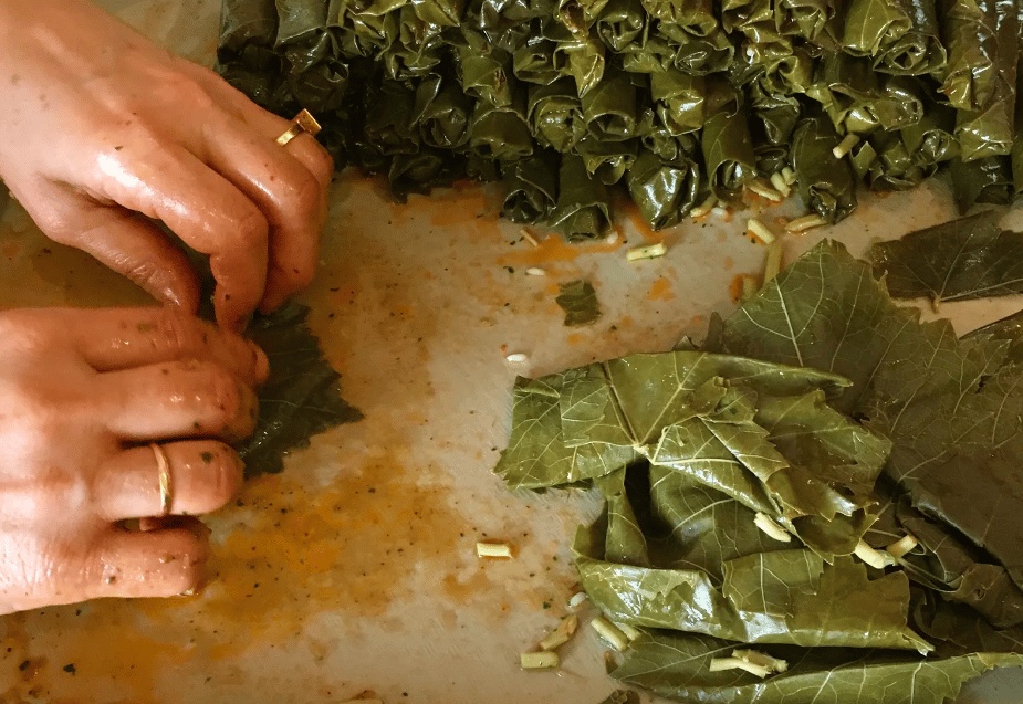 تجاربكم مع ورق العنب