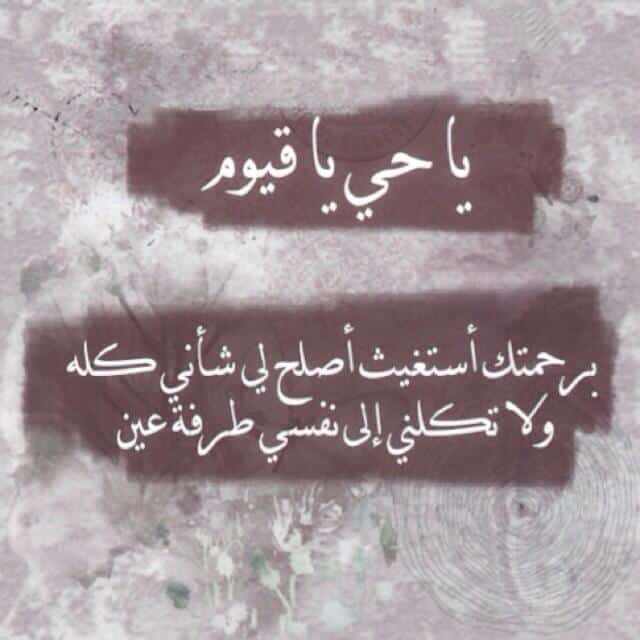 تجاربكم مع ياحي ياقيوم