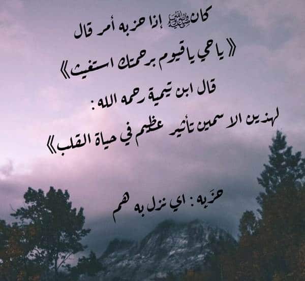 تجاربكم مع ياحي ياقيوم