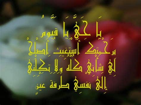 تجاربكم مع ياحي ياقيوم