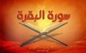 تجربتي في حفظ القرآن