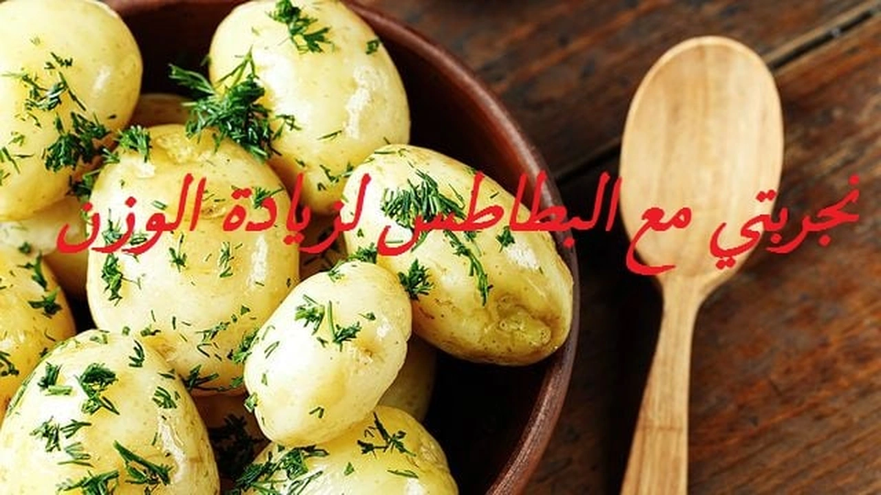 صورة تجربتي مع البطاطس لزيادة الوزن