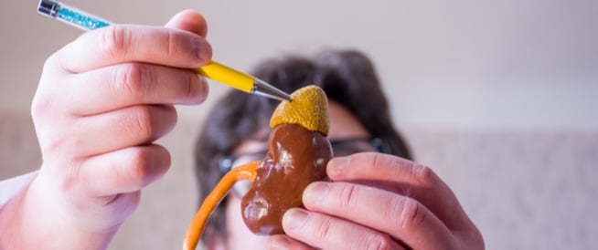 تجربتي مع الغدة الكظرية