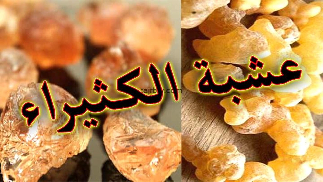 صورة تجربتي مع الكثيرا للتسمين