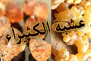 تجربتي مع الكثيرا للتسمين