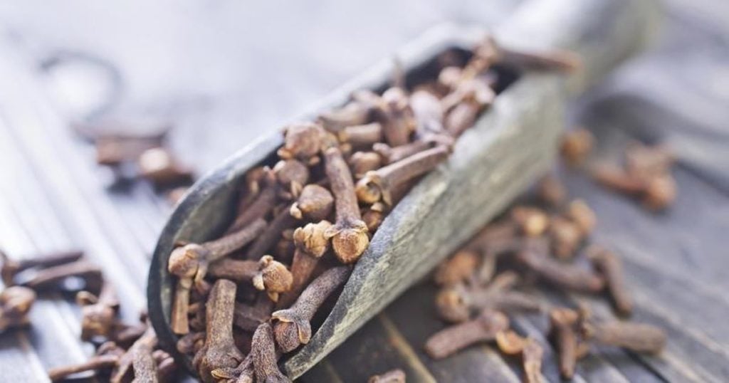 تجربتي مع بخاخ القرنفل للشعر