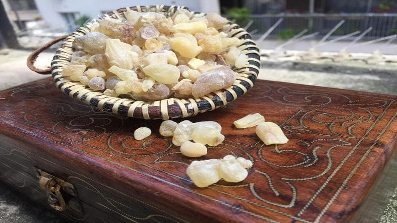 صورة تجربتي مع بخاخ لبان الذكر