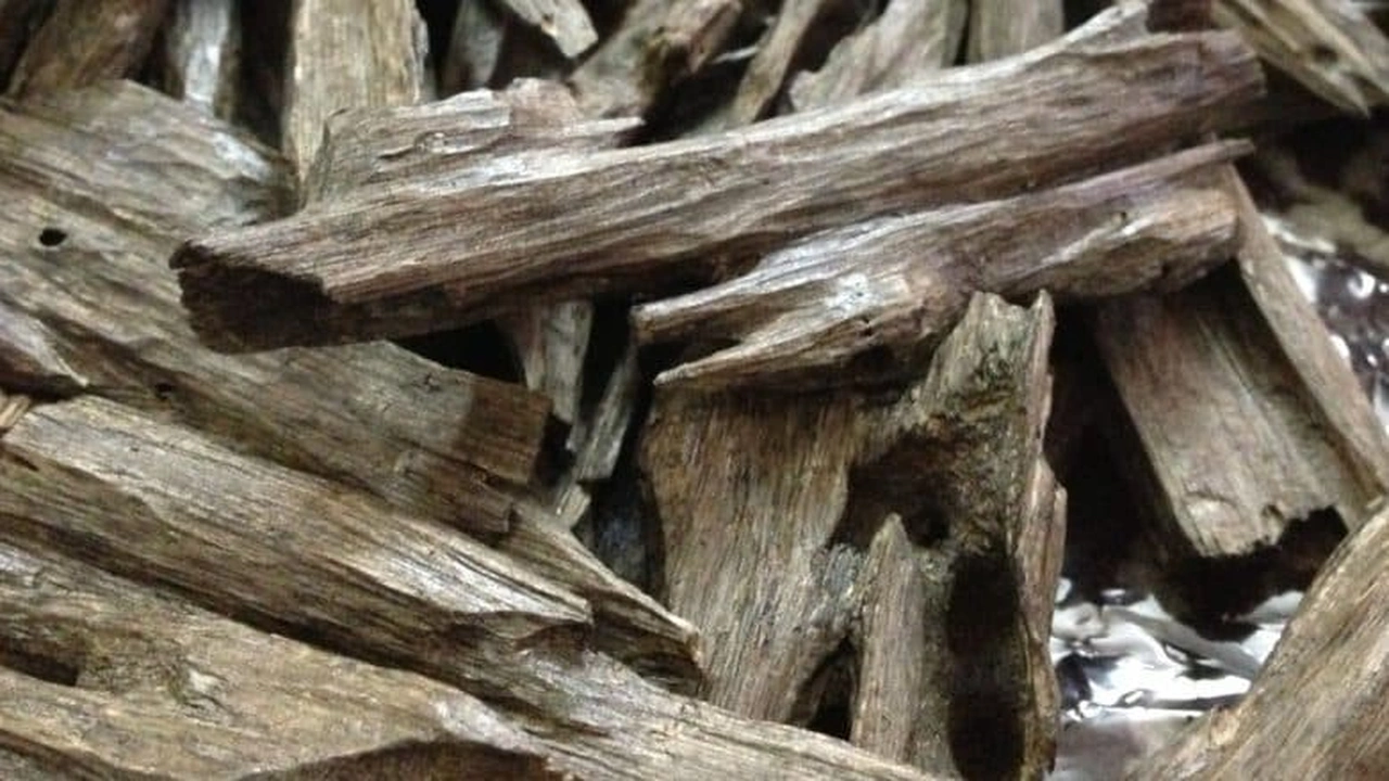 صورة تجربتي مع بخور الطلح