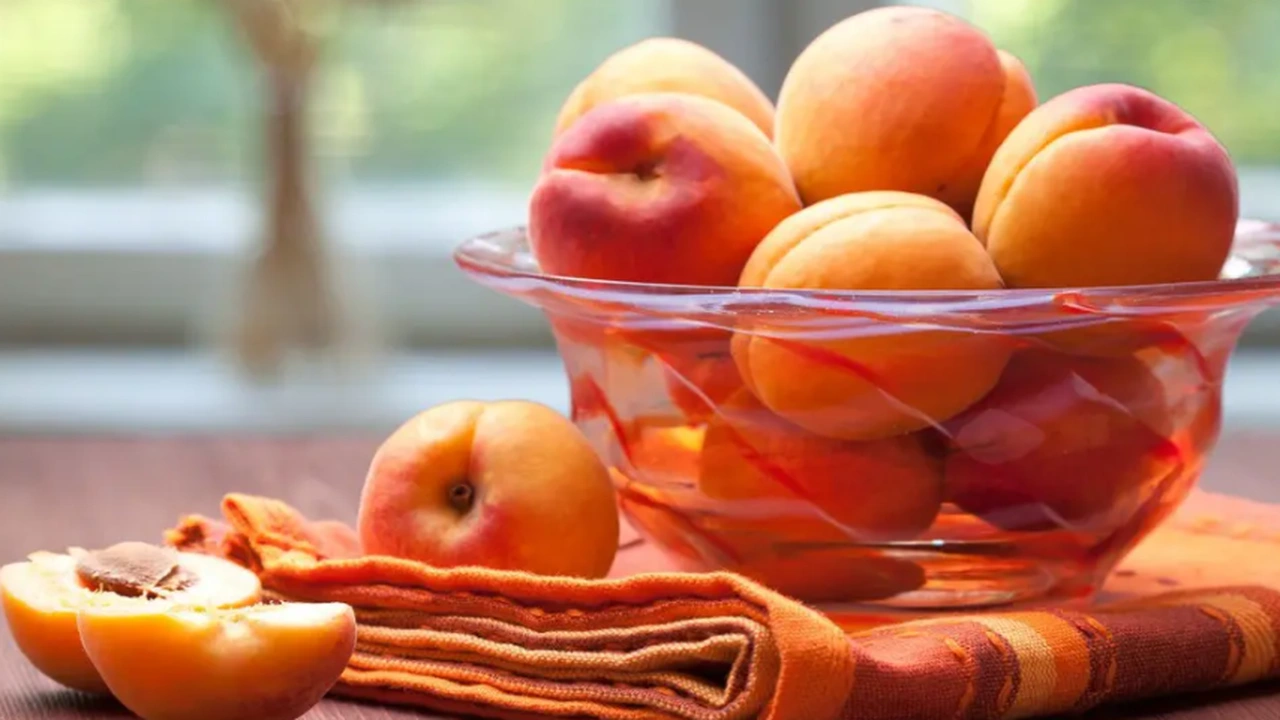 صورة تجربتي مع بذور المشمش