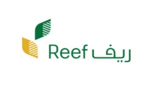تجربتي مع برنامج ريف