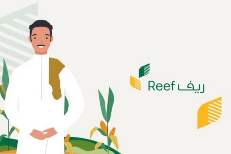 تجربتي مع برنامج ريف