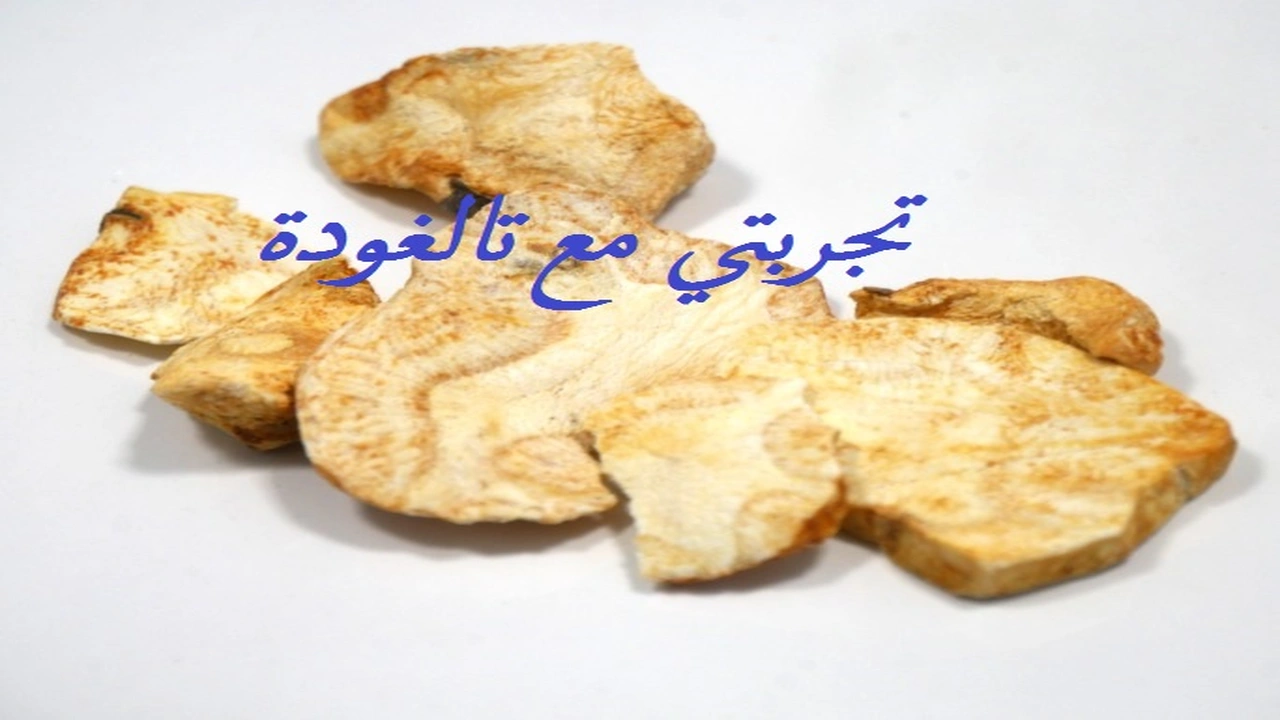 صورة تجربتي مع تالغودة