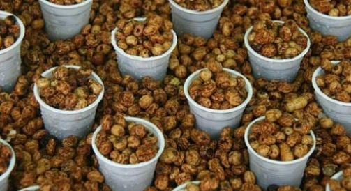 تجربتي مع حب العزيز لزيادة الوزن