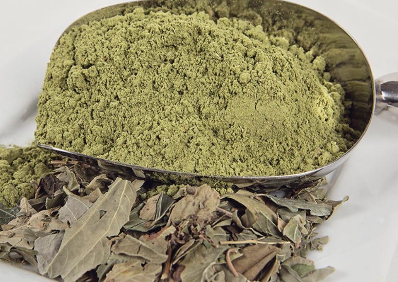 تجربتي مع شامبو السدر