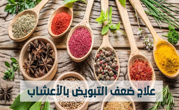 تجربتي مع ضعف التبويض والحمل