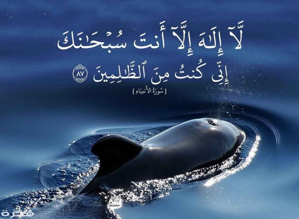 تجربتي مع لا اله الا انت سبحانك